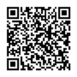 神王早就预料到了整件事的发生居然没有给你留下任何信息二维码生成