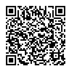 神王留下的信息一定是藏匿在一个不易被发现同时也不易被破坏的地方二维码生成