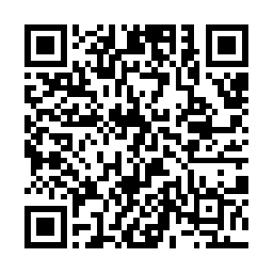 神界各大势力谈论最多的就是杨风和第一家族的纠纷二维码生成