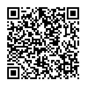神经最为大条的马晶莹在这种死亡边缘还是问出了一个很不靠谱的问题二维码生成