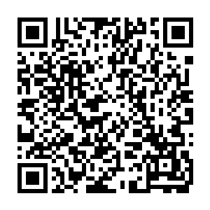 神识一直放开的流墨墨把司空雨浩的表现和散逸出来的情绪都看在二维码生成