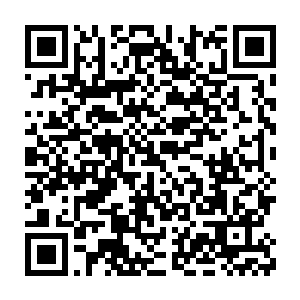 神识投在这九星天赋测试宫殿上的喻高飞看到这一幕有些不可置信二维码生成
