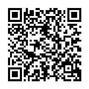 禁古之界已经有极为漫长的一段时间没有人离开过禁古之界了二维码生成