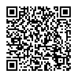 禁忌术法……能够提升一个大境界进行战斗的禁忌术法……此子……二维码生成