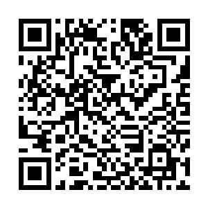 福尔摩斯一家在他们第二次欧洲大陆旅行时拜访了波洛一家二维码生成