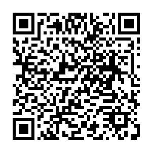 福金尼尔他们都会过来……今天是荣耀至死参加俊杰音乐节巡演的第一天二维码生成