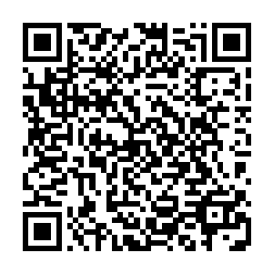 禹欢和周夏两人一上了船就被船上摆着的二十几个盛鱼的桶给弄的镇住了二维码生成