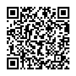 禹欢看到了漂亮衣服立刻在瞬间忘了茶几上的两小杯具二维码生成