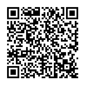 离他们有一段距离的水侍就看到对面的松树树干上的树皮有所变化二维码生成