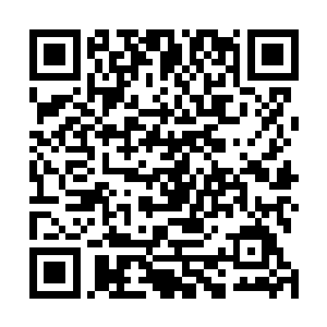 离儿也并不知道我和他的父亲曾经经历过什么惨痛的过去二维码生成