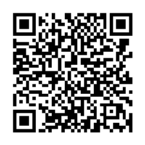 离儿窝在他怀里像一只冬日找到暖炉舒服得直眯眼的猫咪一样二维码生成