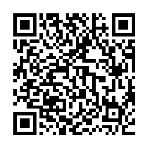 离开之前龙战跟睿和阿父以及龙弦大叔说了他们要出去一段时间二维码生成