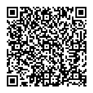 离开地下宝库上面依旧很忙碌哪怕是安东都亲自动手了拎着一个旅行包把一件件古董放进去屁颠放进了车里……二维码生成