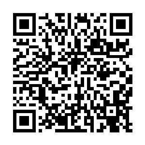 秋忆梦丝毫没有因为映月门是二等宗门而有轻视的意思二维码生成