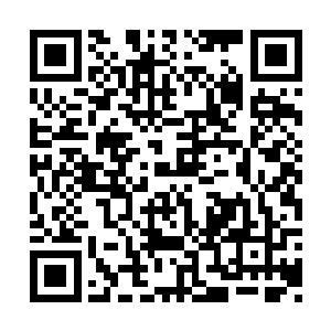 秋忆梦顿时感觉自己被一股无形的力量束缚牵引二维码生成