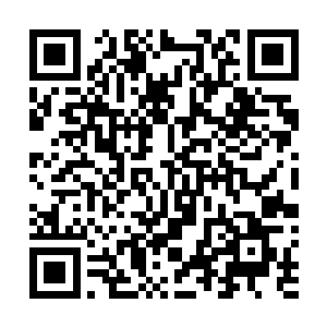 种族歧视的司法公正……无不成为了那个年代的标志符号二维码生成