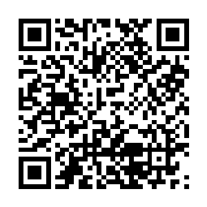 种种威力强横的剑技轰击在五行战皇那庞大无比的身躯上二维码生成