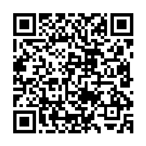 科比的后人提出的总计四十五项终止版权的诉讼要求最终实现二维码生成