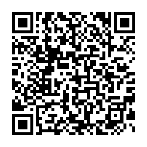 秘传弟子是真传弟子完成一个条件才能成为秘传弟子……成为渡劫境的二维码生成