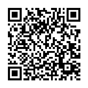 秘剑局过去几十年秘密行动的档案和卷宗都逐一解密二维码生成