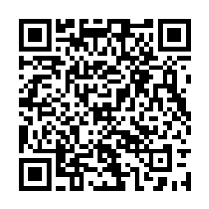 秦国那些旧臣宗族们一定会极力反对姬玄殇的统治二维码生成