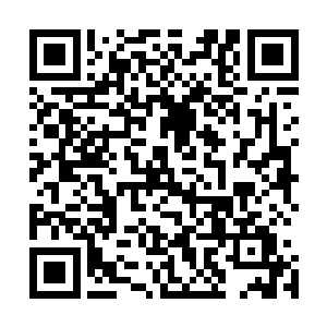 秦宇不时看到一队队旅行团在导游的带领下在商场购买商品二维码生成