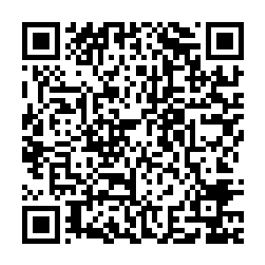 秦宇不知道将这石碑给嵌在老龟壳内的人和老龟到底是有什么深仇大恨二维码生成