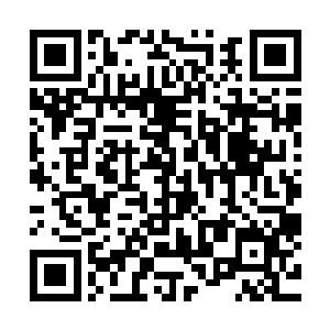 秦宇之所有判定陈豪不是死于油锅刑罚和石磨刑罚是有依据的二维码生成