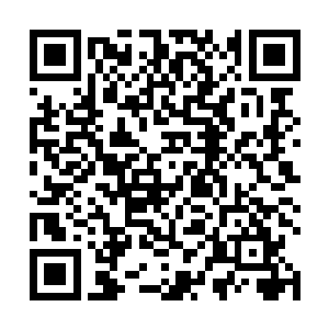 秦宇便想到自己上一次进江山社稷图内看到小九的模样二维码生成