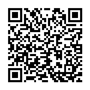 秦宇便是想到自己当初第一次来到轮回殿的时候所见到的那一幕二维码生成