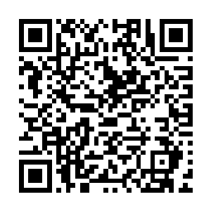 秦宇和坦克两人在离后门还有十几米的距离便被保安给拦下了二维码生成