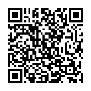 秦宇在万化学宫耗费了无数的心思都无法弄来一滴仙王血二维码生成