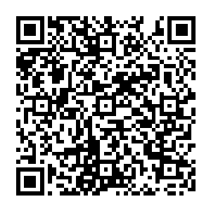 秦宇想到的是当初某位武侠小说的主角在掉入一个山洞之后遇到一位高手死去的白骨二维码生成
