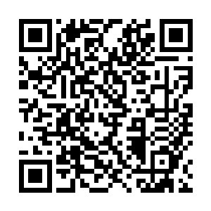 秦宇此时的表现和许多大陆人第一次来香港没多少区别二维码生成