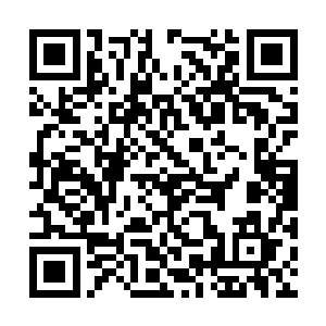 秦宇看到翘翘脸上的幽怨之色便是不忍心拒绝翘翘二维码生成