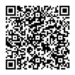 秦宇真正的目的便是将这三簇火苗给召唤出来而后简单粗暴的聚集在一起就可以了二维码生成