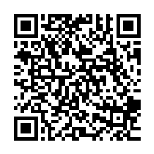 秦宇脑海中浮现的便是古籍中所记载的和君王殿齐名的葬仙渊二维码生成