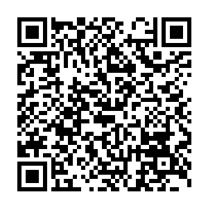 秦宇这段时间的行为举止又怎么可能瞒得过身边最亲密的两位女子二维码生成