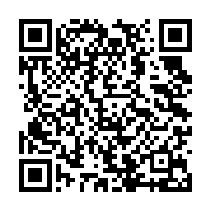 秦宝华不相信今年宋州经济增速会比去年逊色多少二维码生成