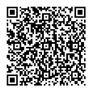 秦家为什么会舍弃一个容易控制又方便打压的陆朝歌而去选择兰柳这种原本就家底不俗的巨大家族呢二维码生成