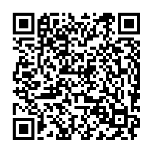 秦家先祖秦苍穹创立的这一门血脉传承秘术血武秘录的强悍和可怕了二维码生成