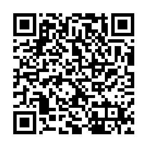秦家血脉中蕴藏着的血武秘录的力量也是被彻底激活了……二维码生成