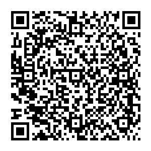 秦方也不会因为它派不上什么用场就直接抛弃了它的……怎么说也是救了秦方好多次性命的傀儡人二维码生成