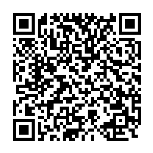 秦方也不敢轻易招惹的……他现在能够保证自己的安全就已经很满意了二维码生成