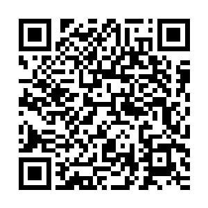 秦方也可以装作完全听不懂的……可这两人都是用中文在交谈的二维码生成