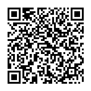 秦方仔细感知了一下就惊讶的发现这头休眠的巨兽正在进行着一种特殊的变化二维码生成