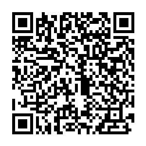 秦方他们并没有打算杀了这几个人……至少在榨干他们的剩余价值之前二维码生成