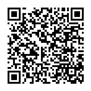 秦方便往这一颗蛇珠里面缓缓的注入了真气……并没有遭遇到任何的阻碍二维码生成