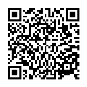 秦方其实心中一直都是在默数着人数的……从松本的记忆中得知二维码生成