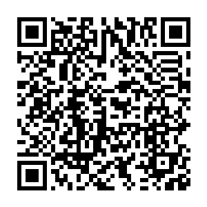 秦方动用了体内狂暴的白虎元气……强行干扰了波塞希的水系秘术二维码生成